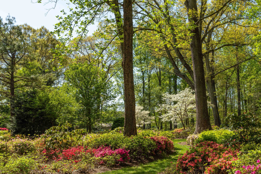 Enjoy a Show of Nature Journals in the Library - Lewis Ginter Botanical  Garden