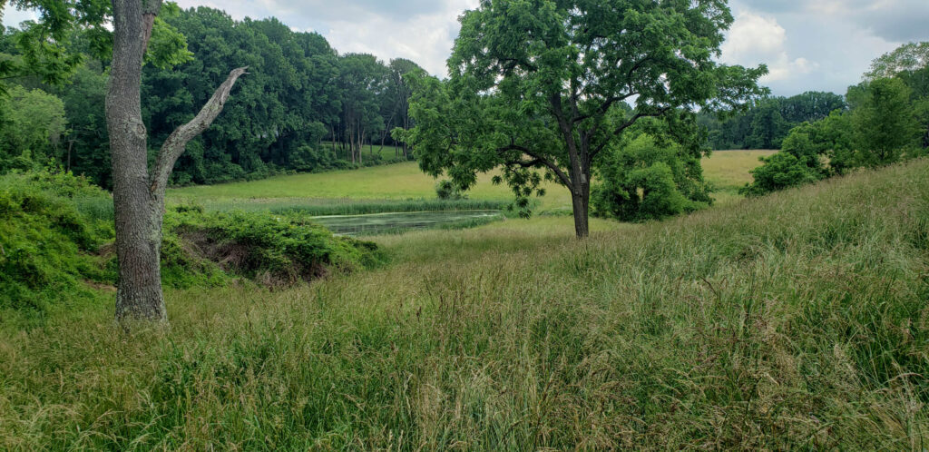 Brandywine Battlefield Property Purchased for Conservation