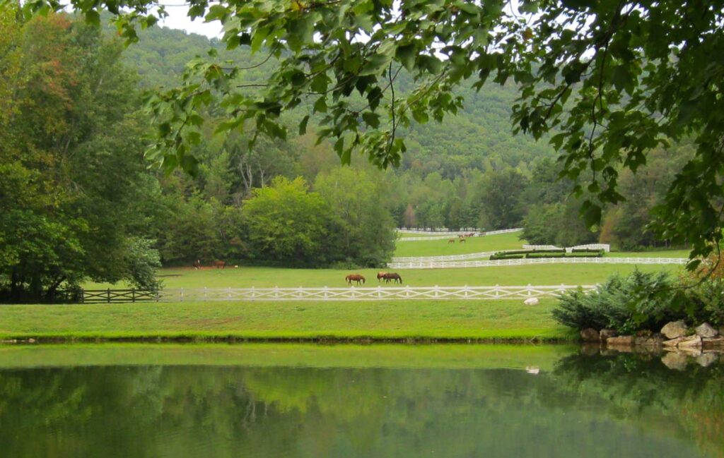 Blackberry Farm