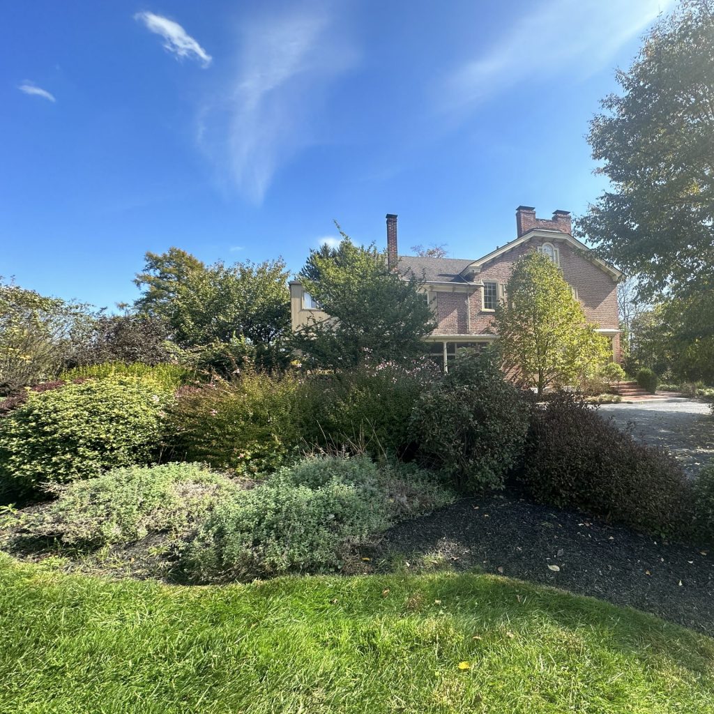 Gardens on the perimeter of the Joseph Davis House