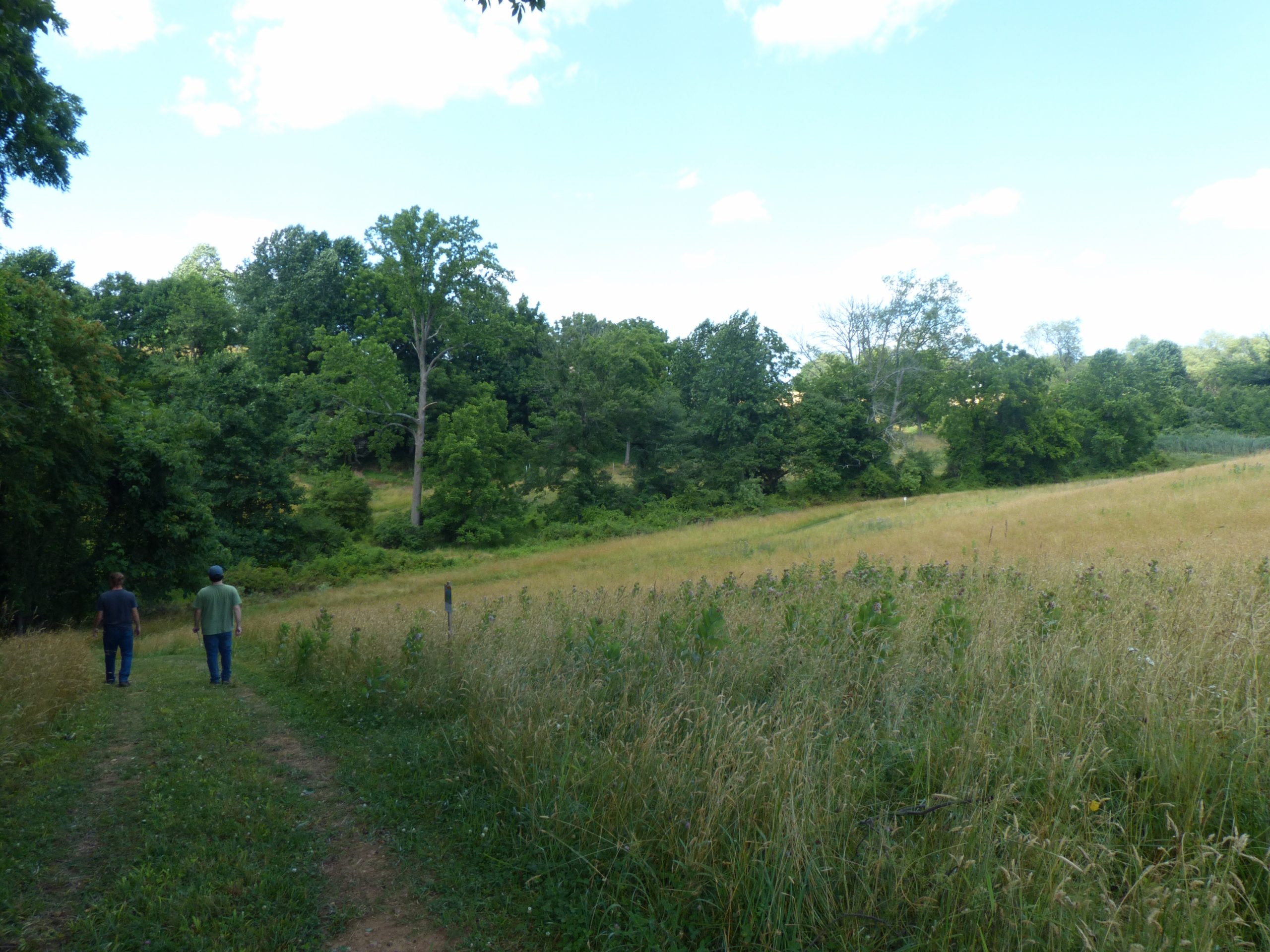 Two individuals walking Colonial Trail at Brinton Run Preserve with an open meadow in the distance