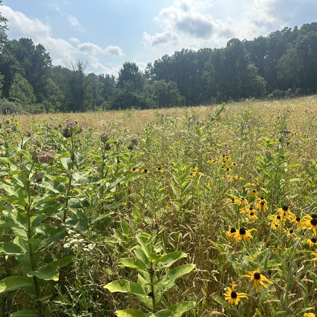 NALT Receives State Grant to Create Pollinator Habitat in Pennsylvania – Go Health Pro