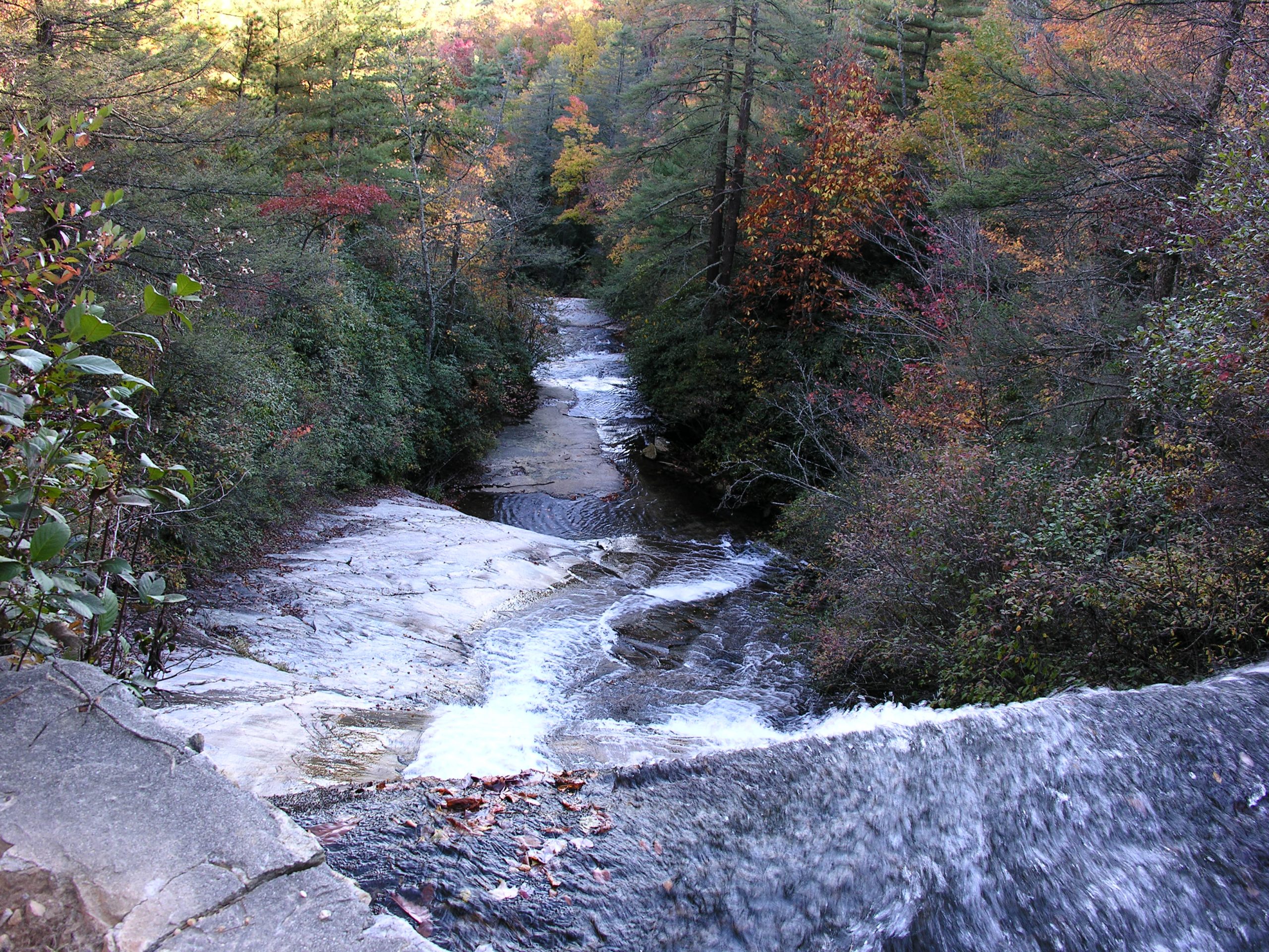In the Creek with NALT