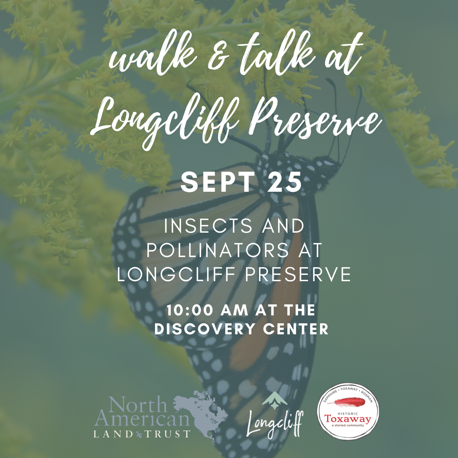 Walk & Talk at Longcliff Preserve: Insects and Pollinators at Longcliff Preserve