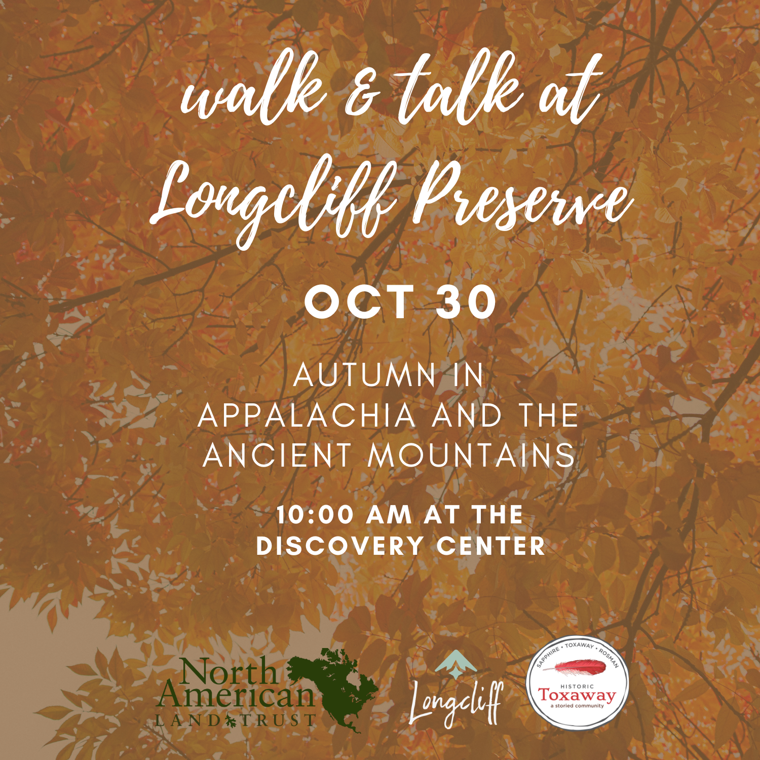 Walk & Talk at Longcliff Preserve: Autumn in Appalachia and the Ancient Mountains