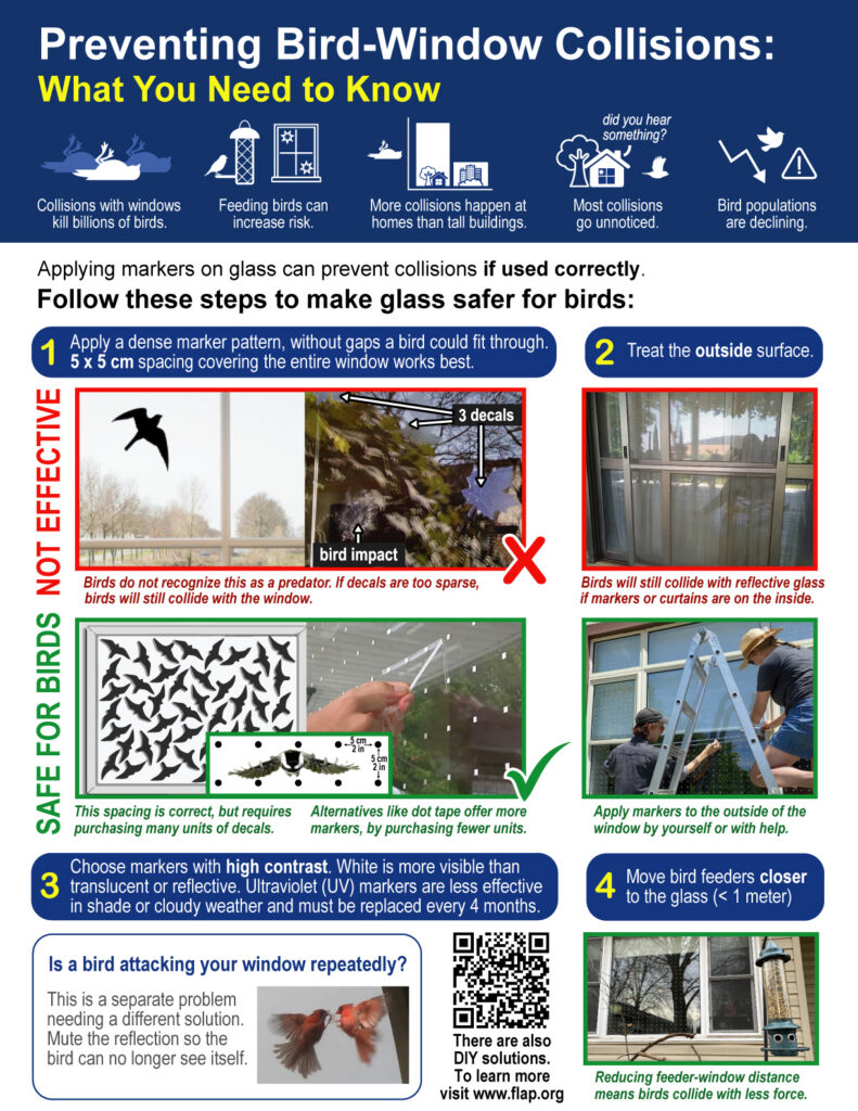 Preventing Window Collisions with www.flap.org. 