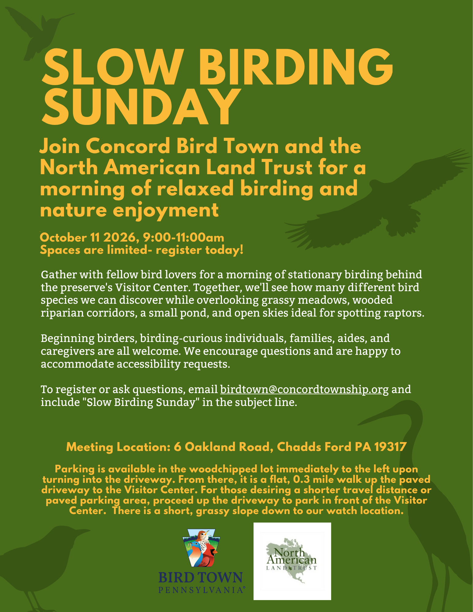 Slow Birding Sunday at Brinton Run Preserve